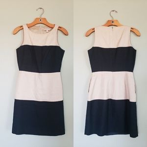 Banana Republic Stripe Dress